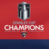 2025 Stanley Cup Champions Florida Panthers Nintendo 2DS XL (2017) Skin